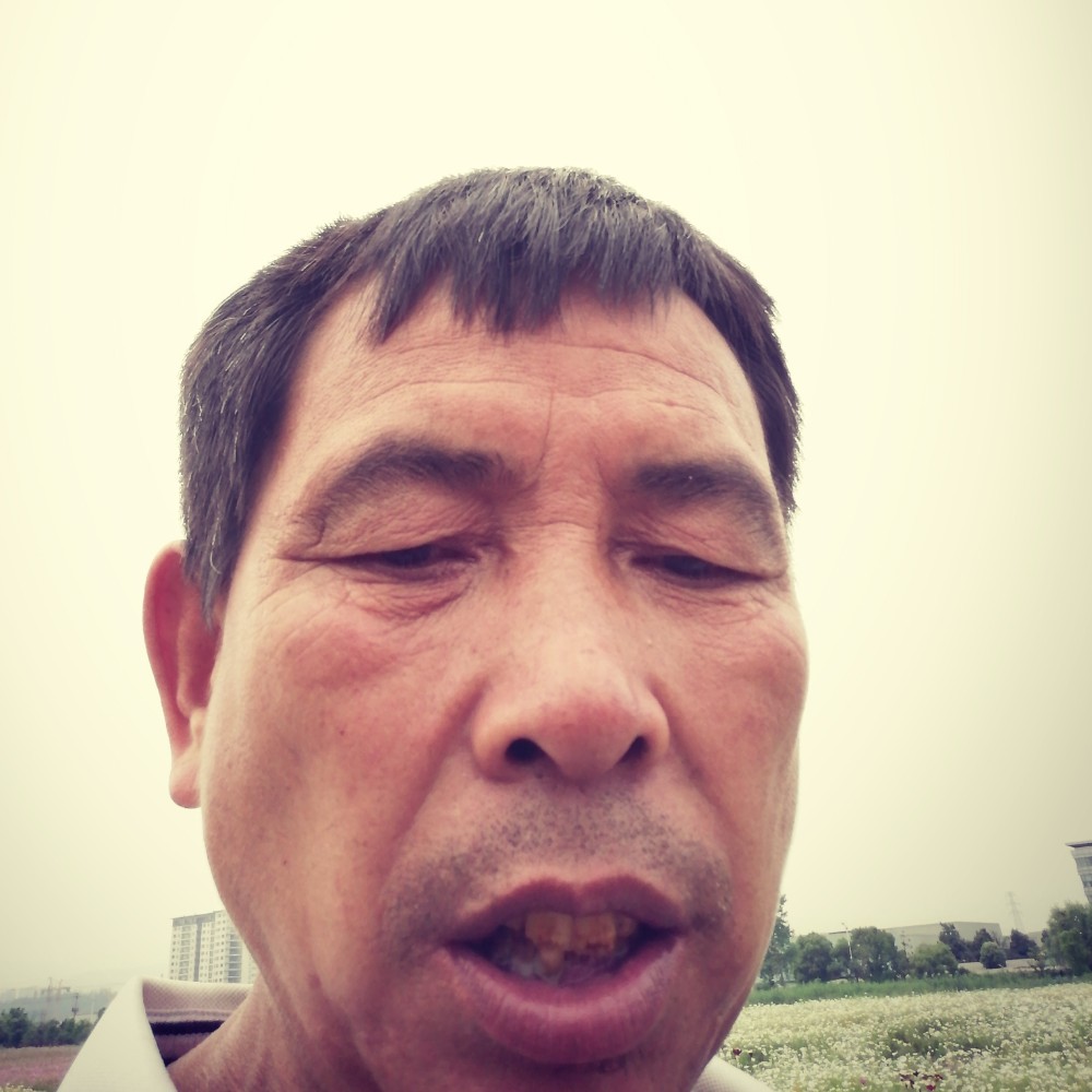 朴实停止化羽的照片