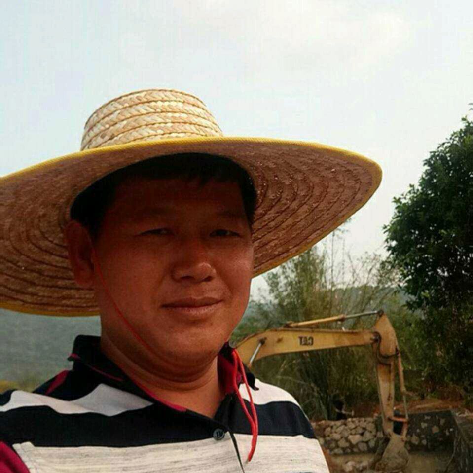 四季好运的照片