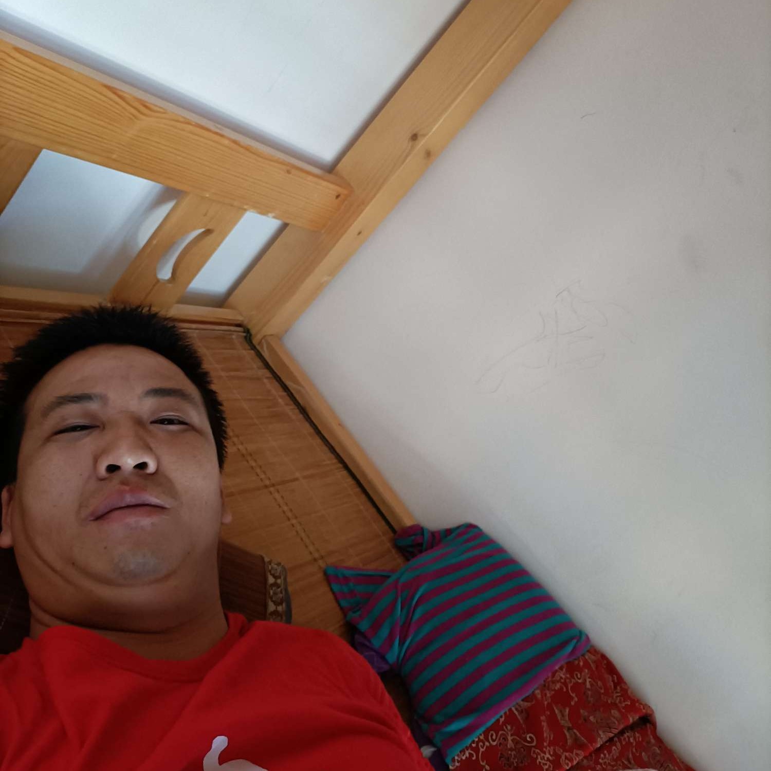 笑点低演变香菇的照片