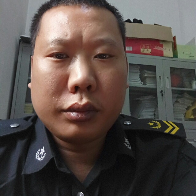 苹果的照片