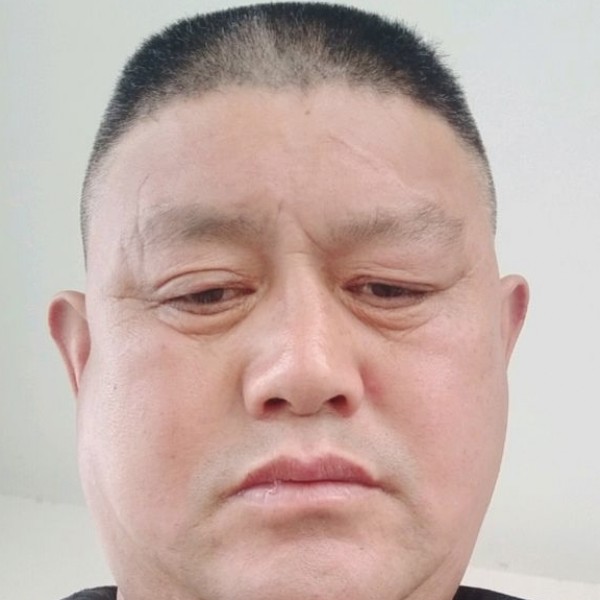 疯狂的小蝴蝶的照片