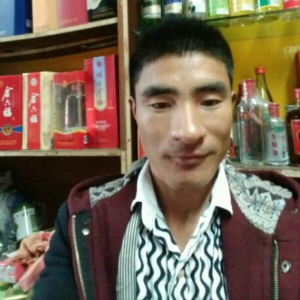受伤猎豹的照片