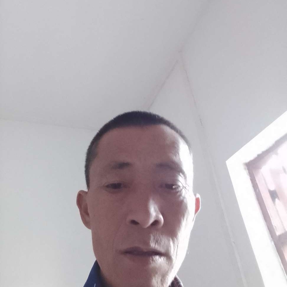 黄蜂笑不解的的照片