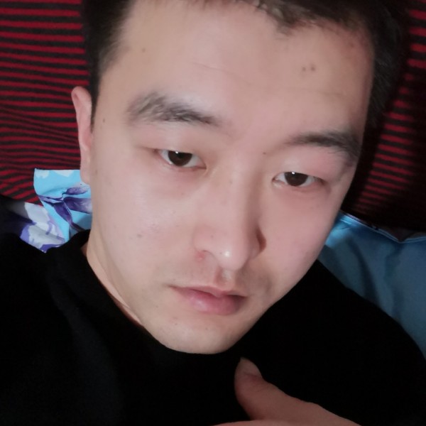 愉快蹁跹仙人掌的照片