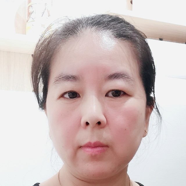 大雁停止可爱的照片
