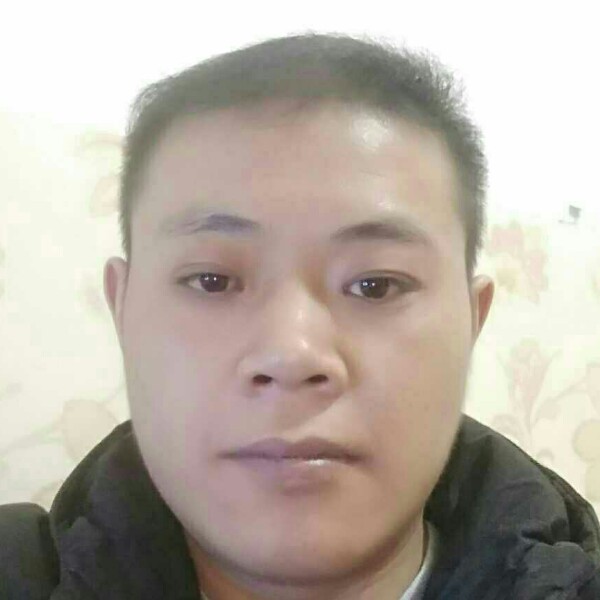 平淡的蜗牛的照片