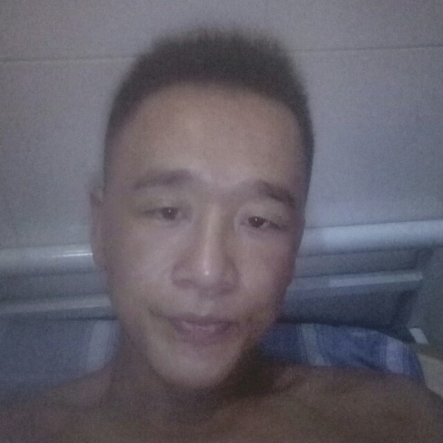 小蚂蚁有高高的照片