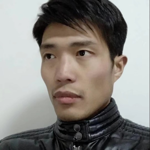 阳光下的草地的照片