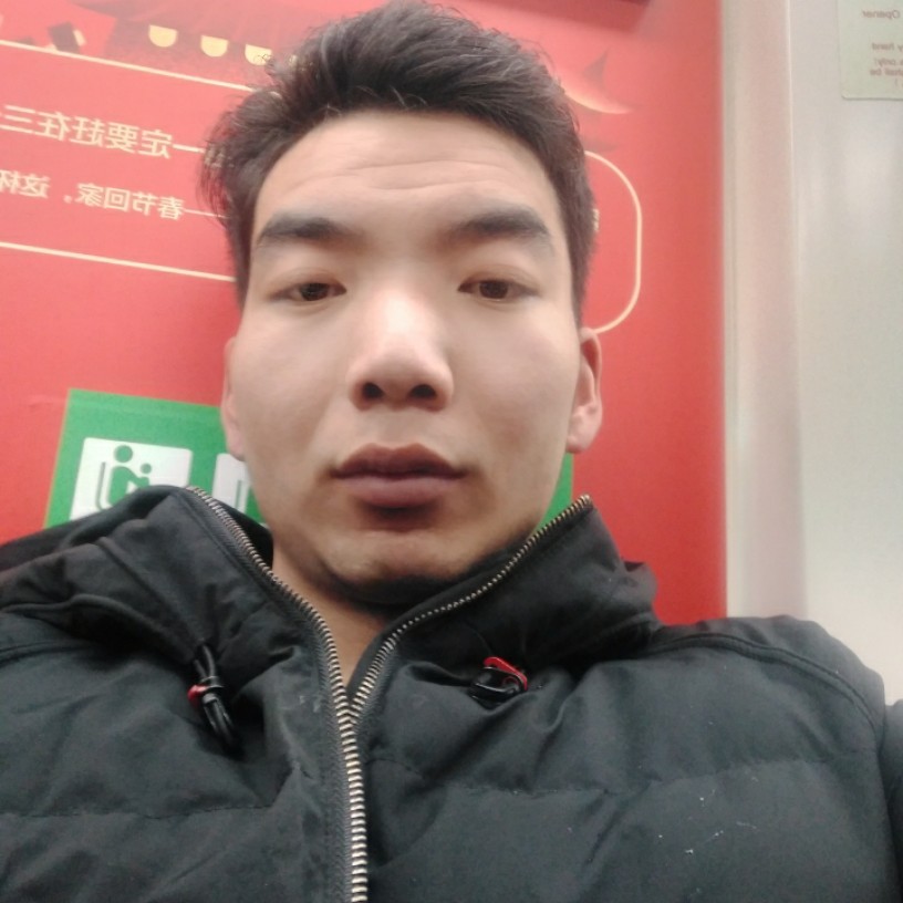 酷炫猫咪的照片