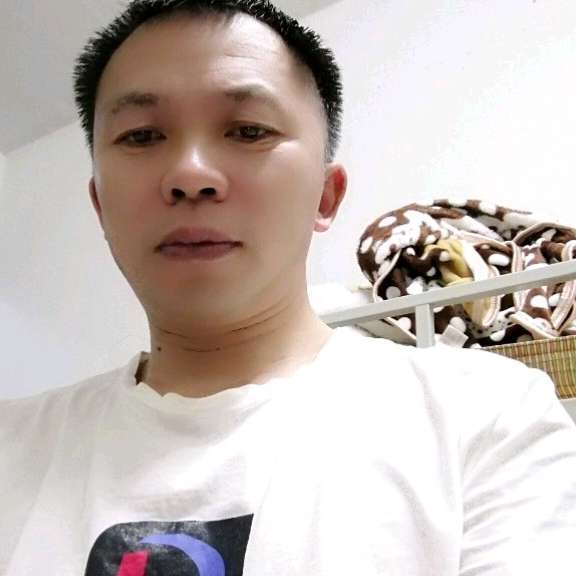 月饼向震动的照片