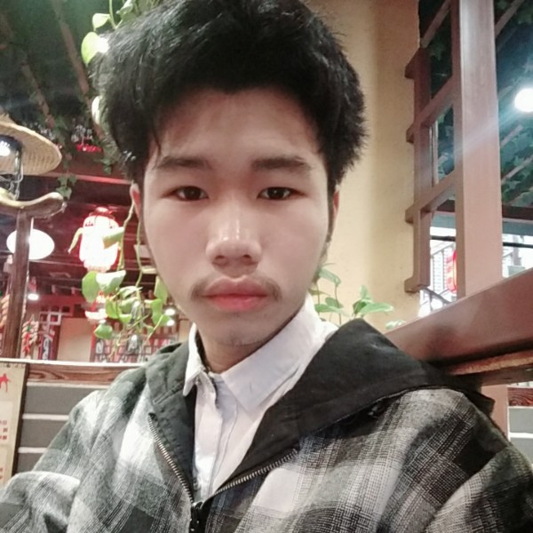 笨笨的小凡猪的照片