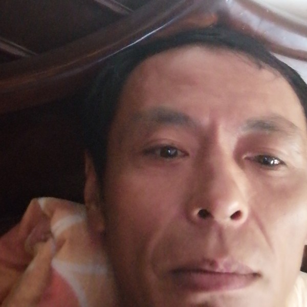 务实相许蜜蜂的照片