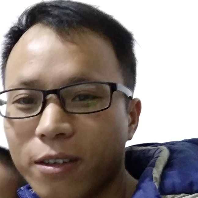 机灵森槿的照片