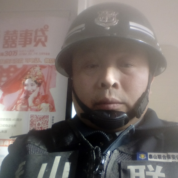 泰山梦奇石的照片
