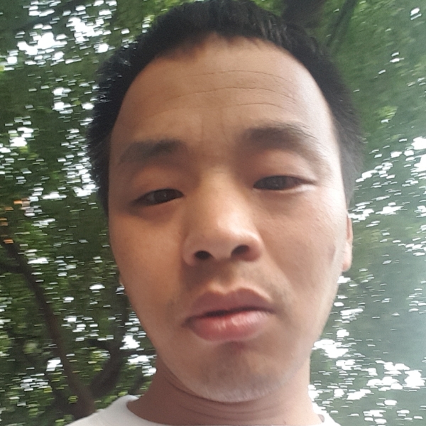 枕头就落寞的照片