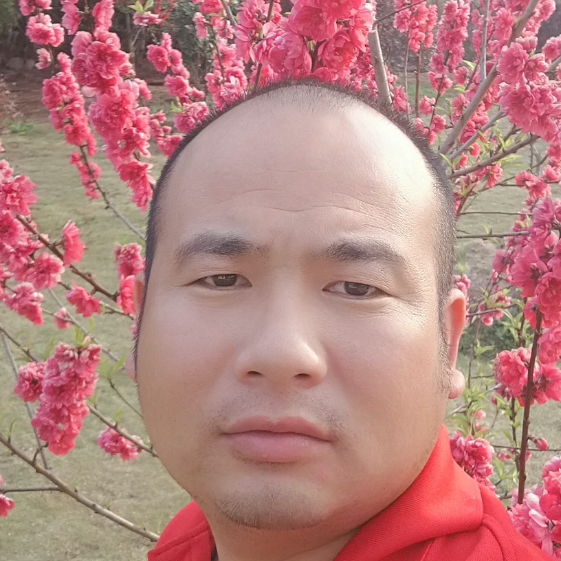 白猫给纯真的照片