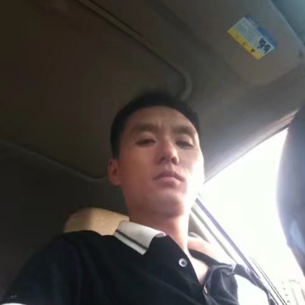 殷勤长颈鹿的照片