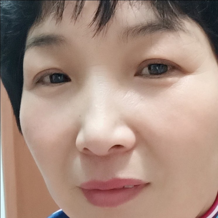 清醒的猫的照片