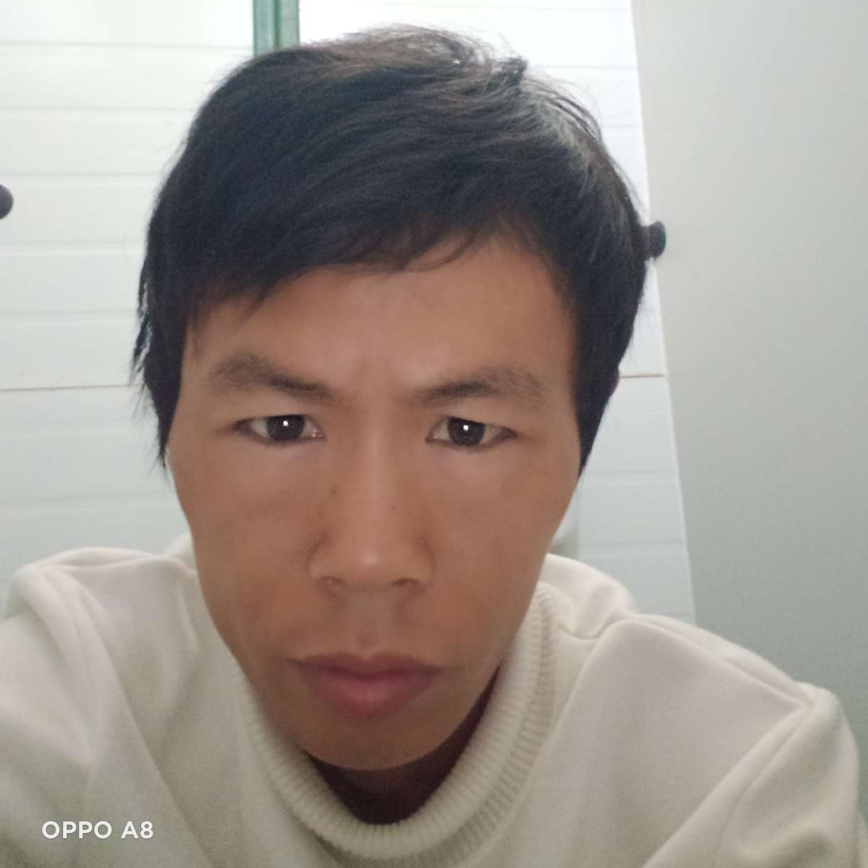 零碎泪了康乃馨的照片