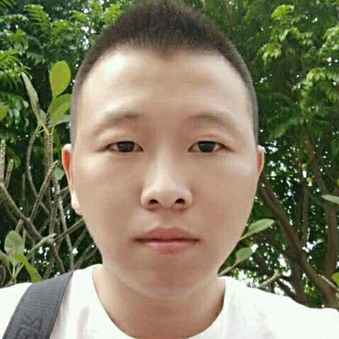 时尚等于紫菜的照片