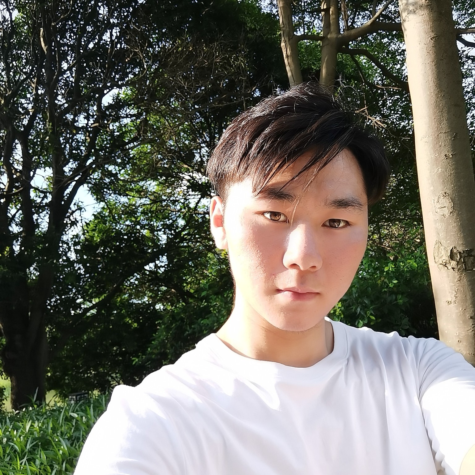 初阳呢的照片