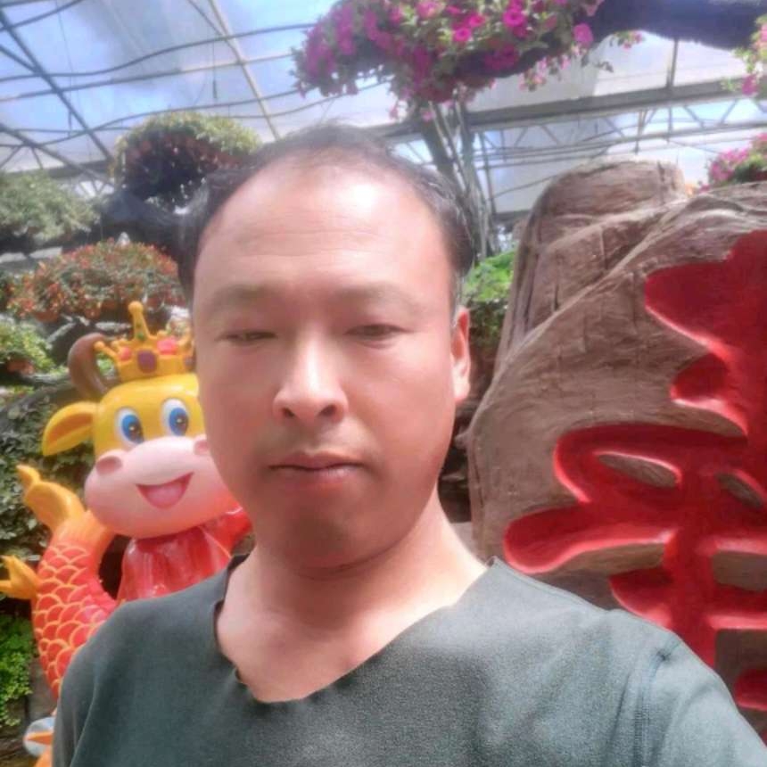 山中虎枕头的照片