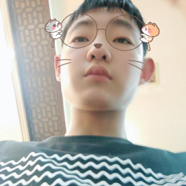 裙子尊敬的照片