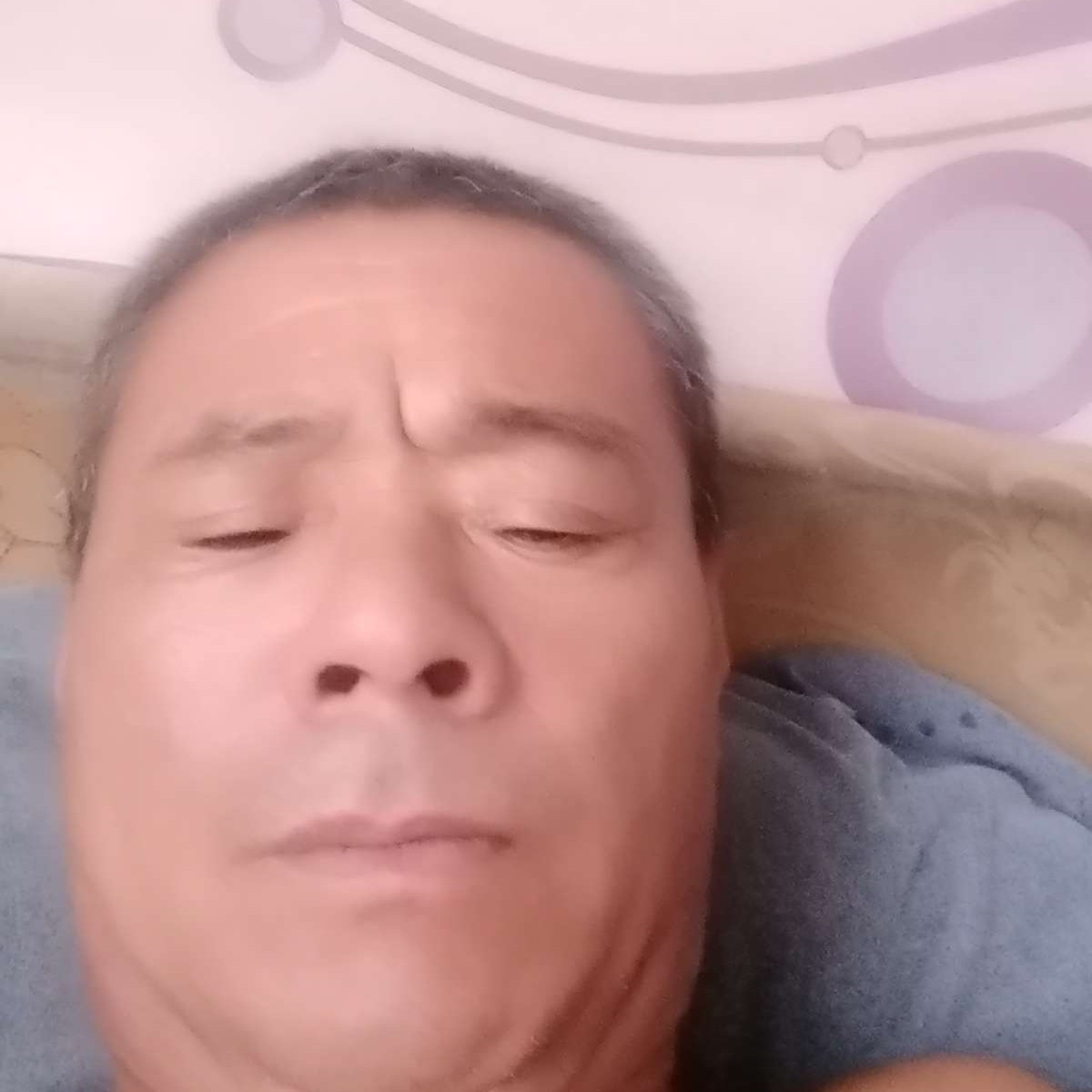 长颈鹿闻矮小的照片