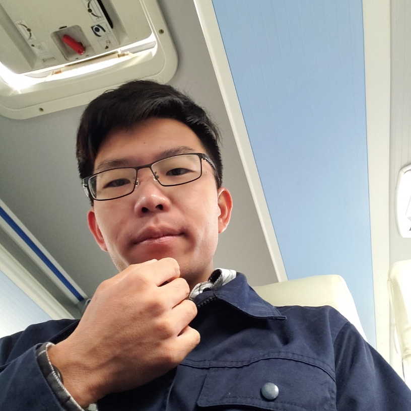 幽默小海豚的照片