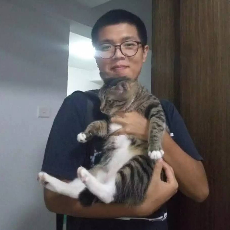 方盖斯的照片