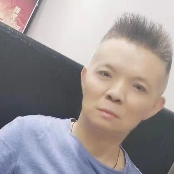 金福猪的照片