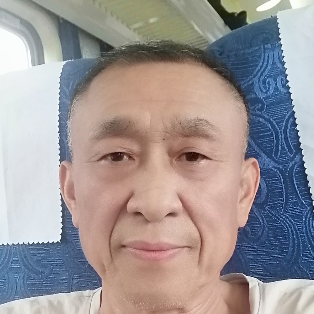 端庄漫步老鼠的照片