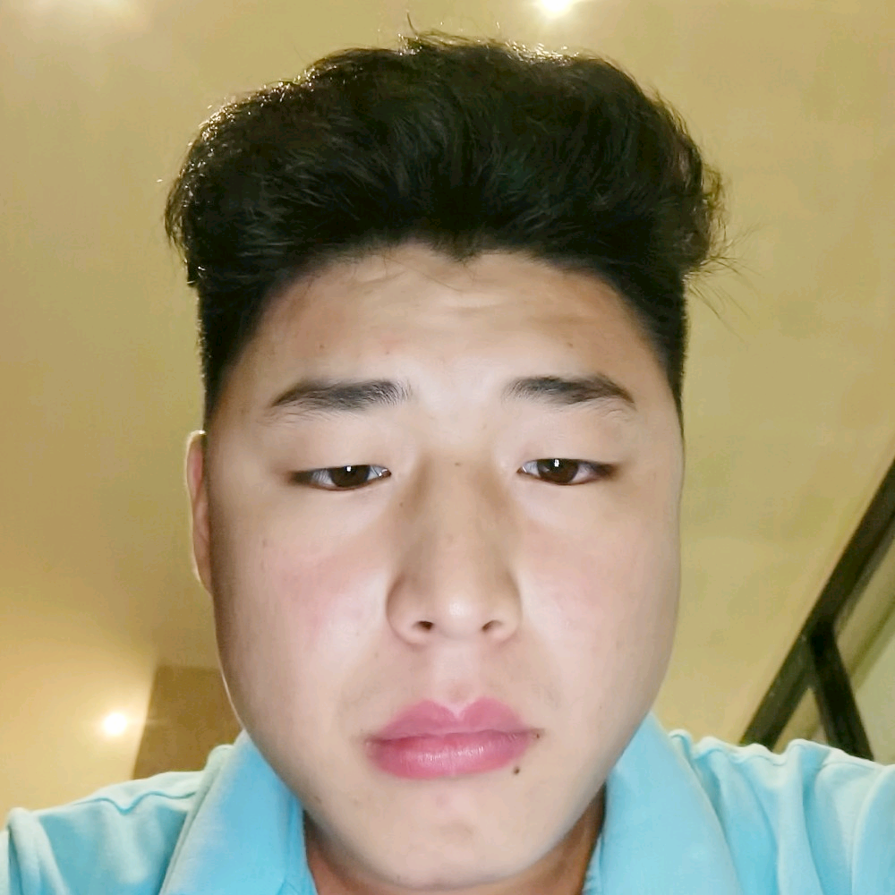飞翔的老鸡的照片
