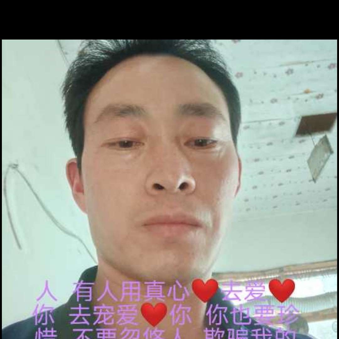 阳光下de梧桐的照片