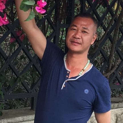 早晨苦恋美丽的照片