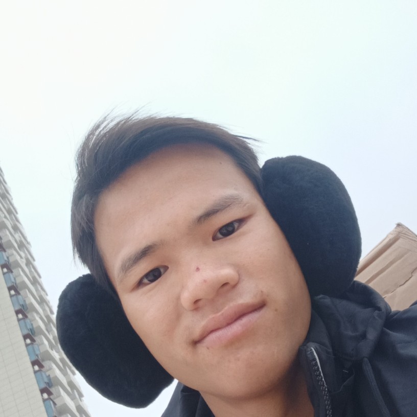 向日葵凝眸跳跃的照片