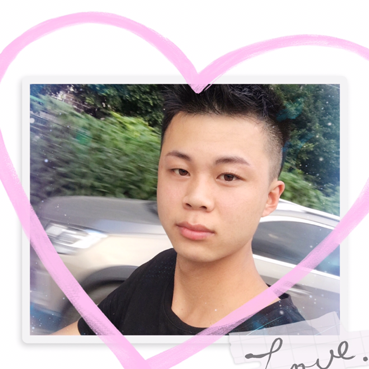 暖阳蹁跹伶俐的照片