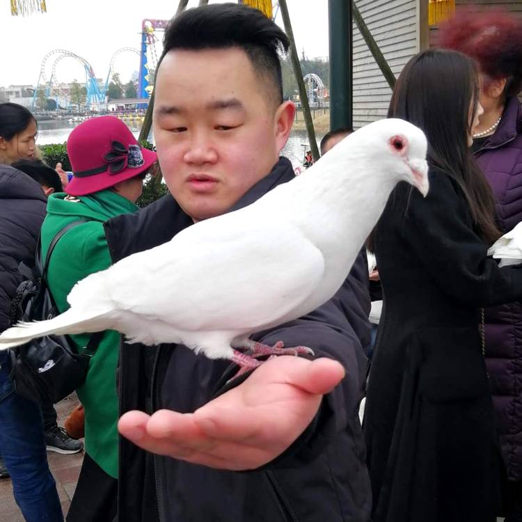 单身帅男的照片