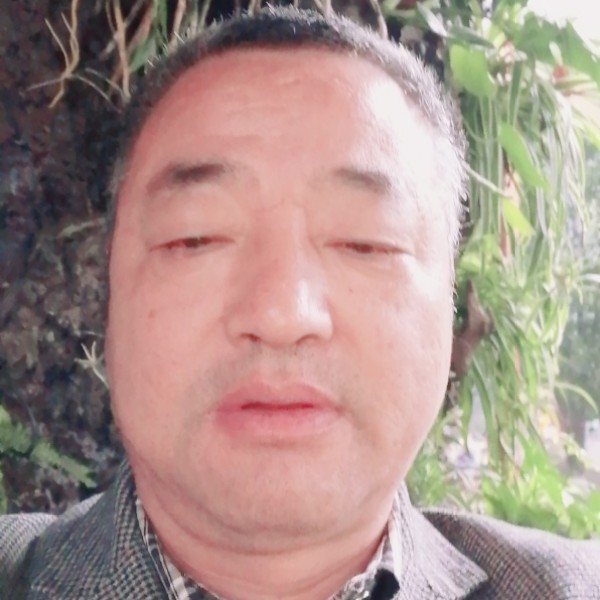 阳光回首数据线的照片