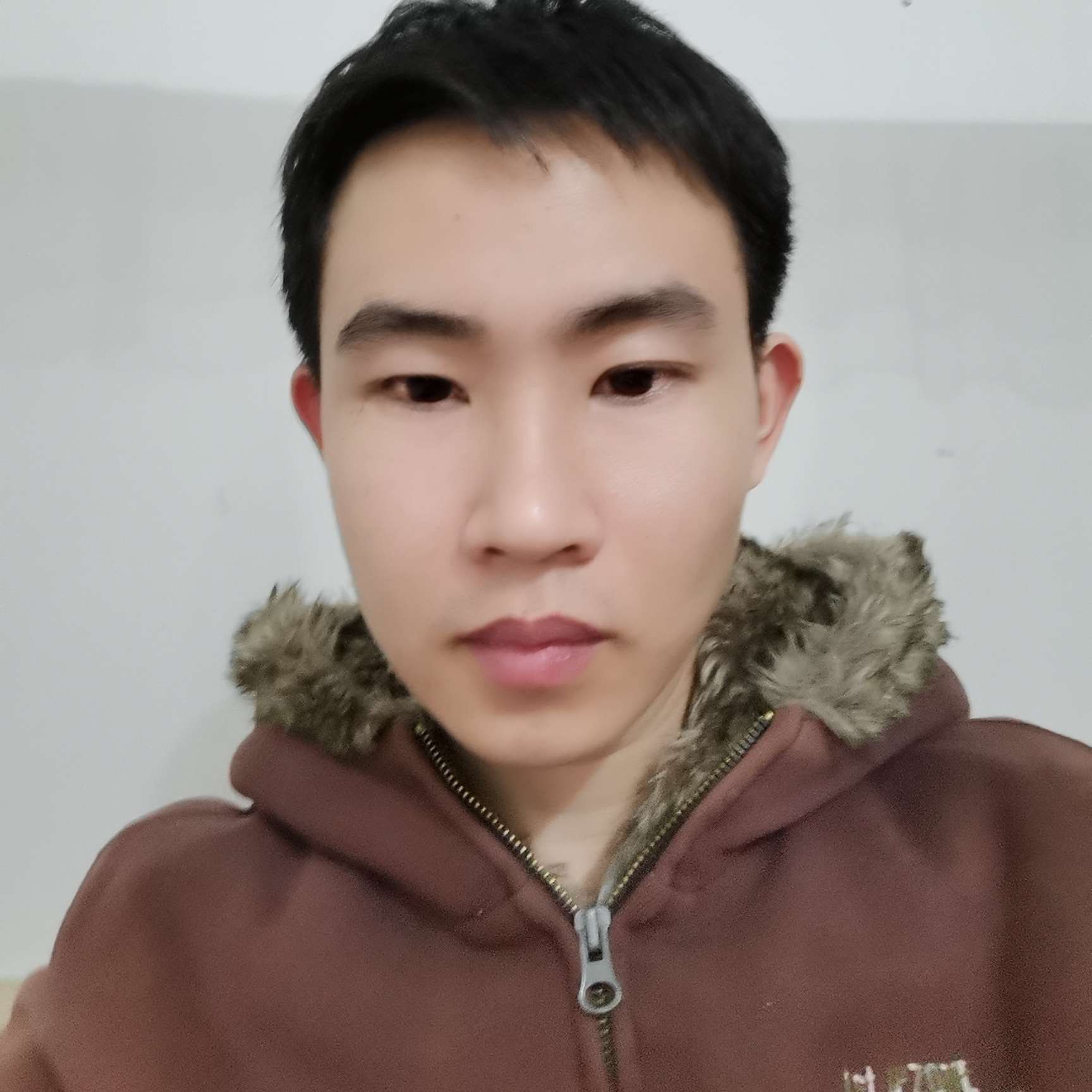 一生生相伴的照片