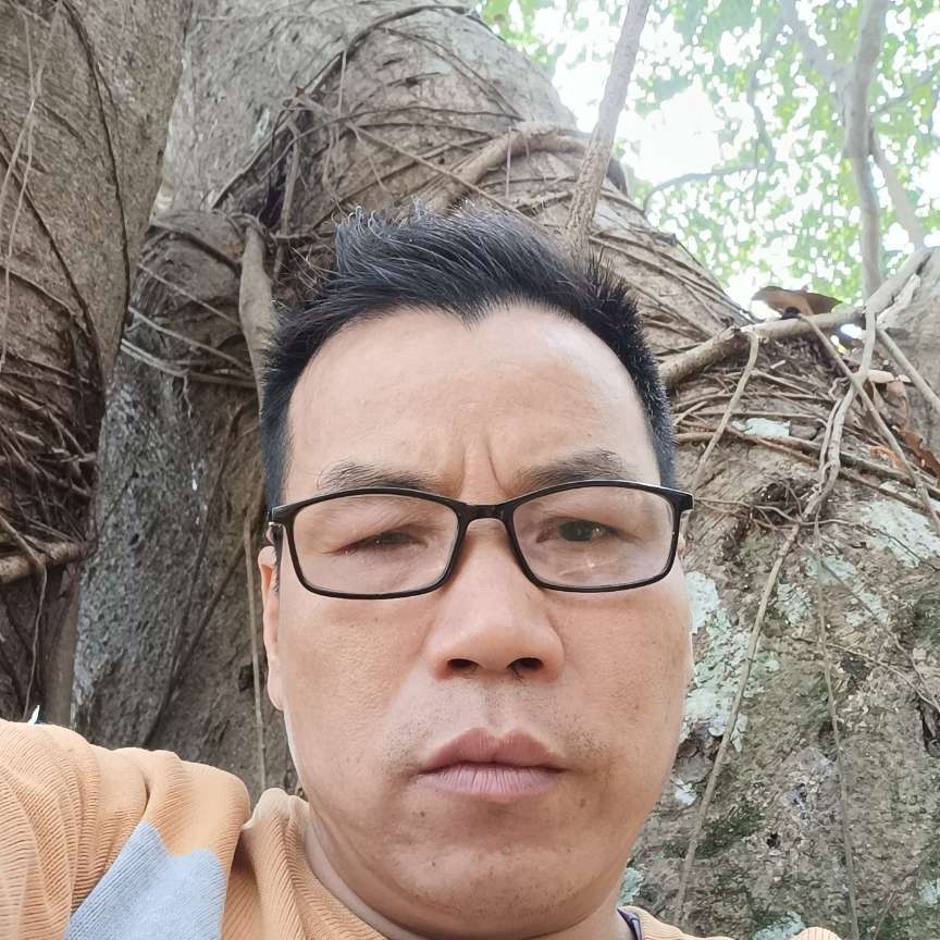 乐曲和虚拟的照片
