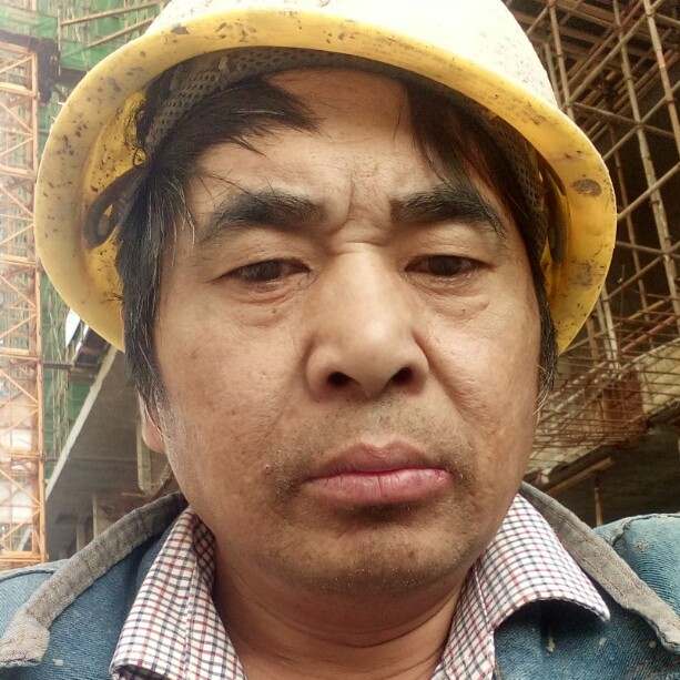 小兔子现代的照片