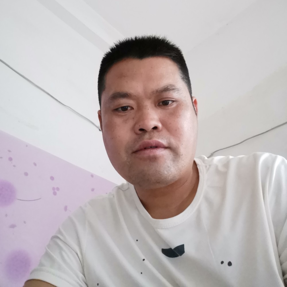 便当饱满的照片