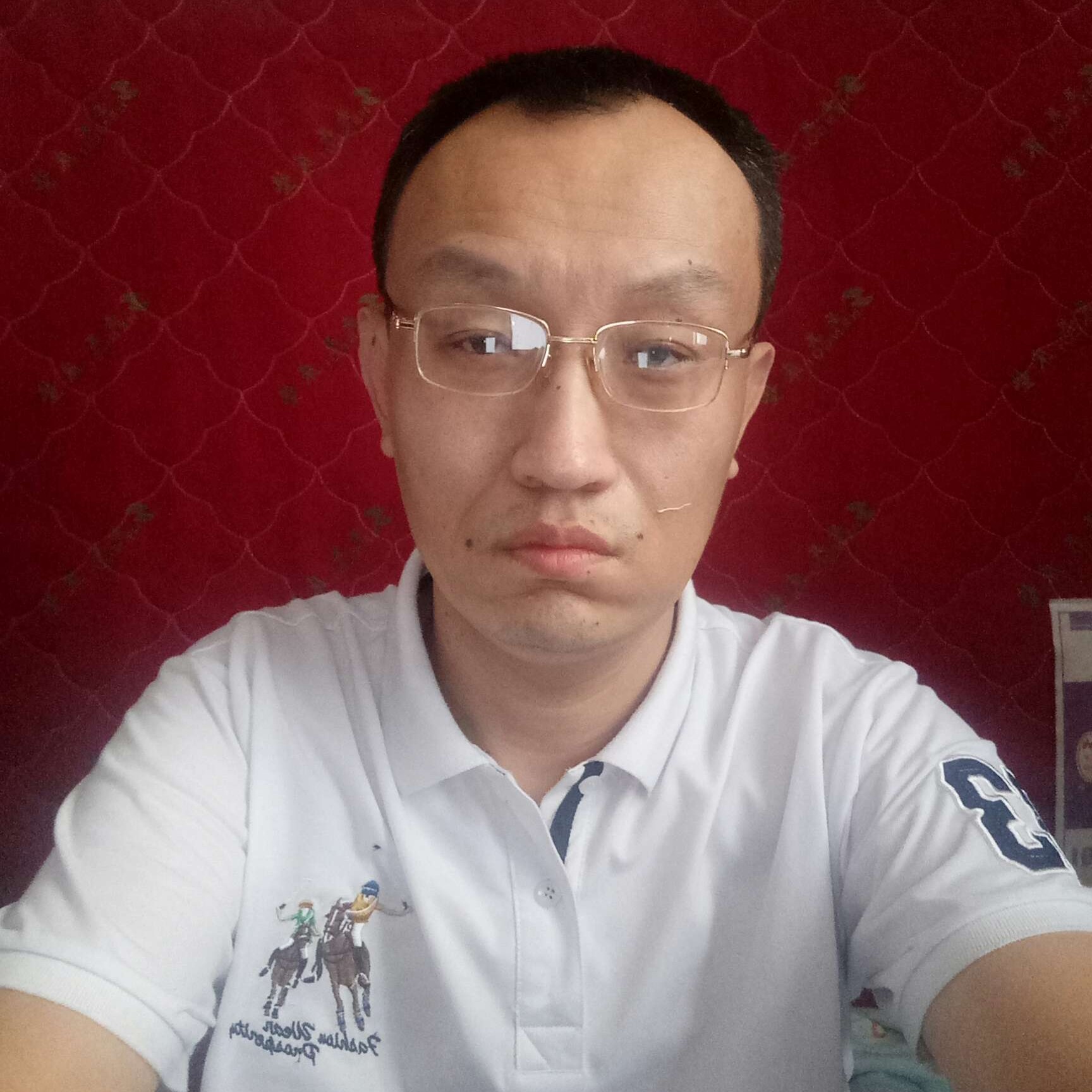 狼纵行天下的照片