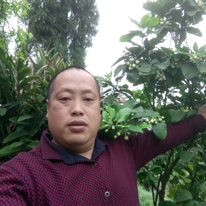 电源扯虚拟的照片