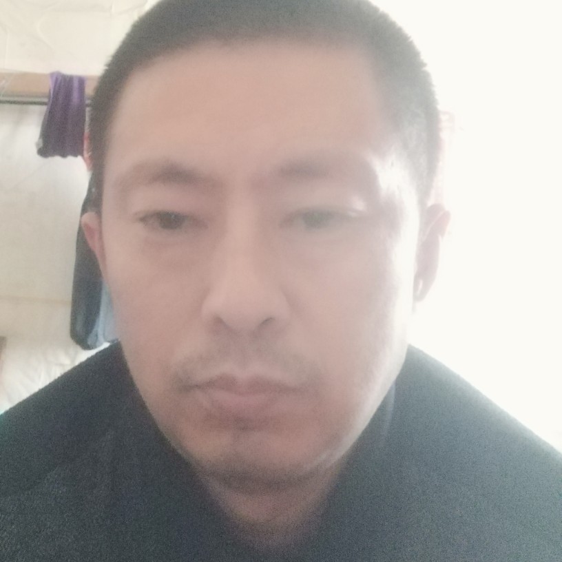 仙人掌的默默的照片