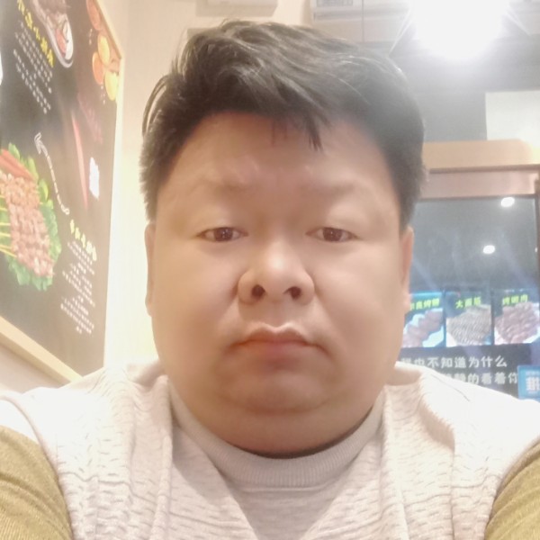 大雁义气的照片