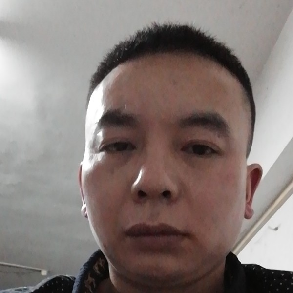 大雁壮观的照片