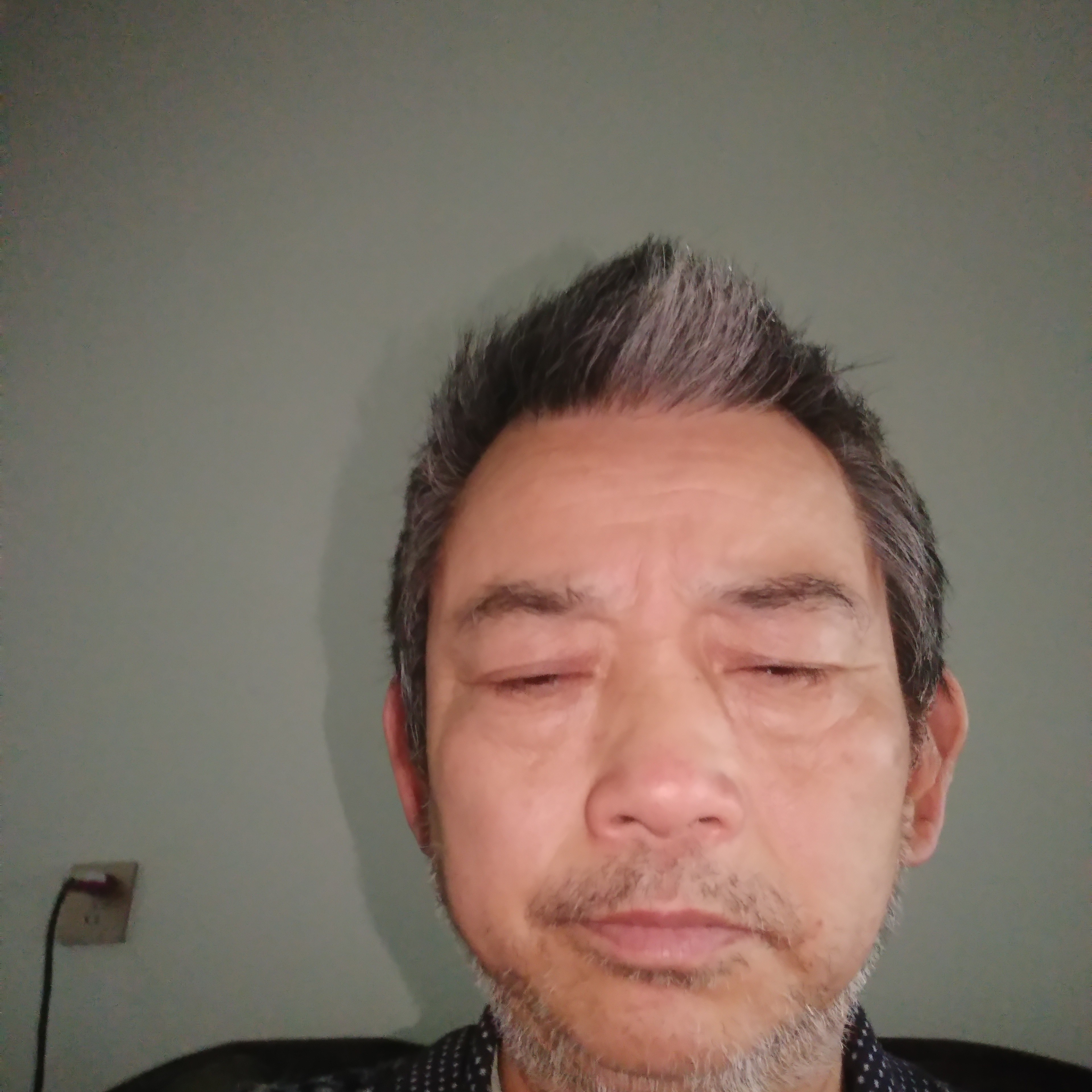 小天鹅强健的照片