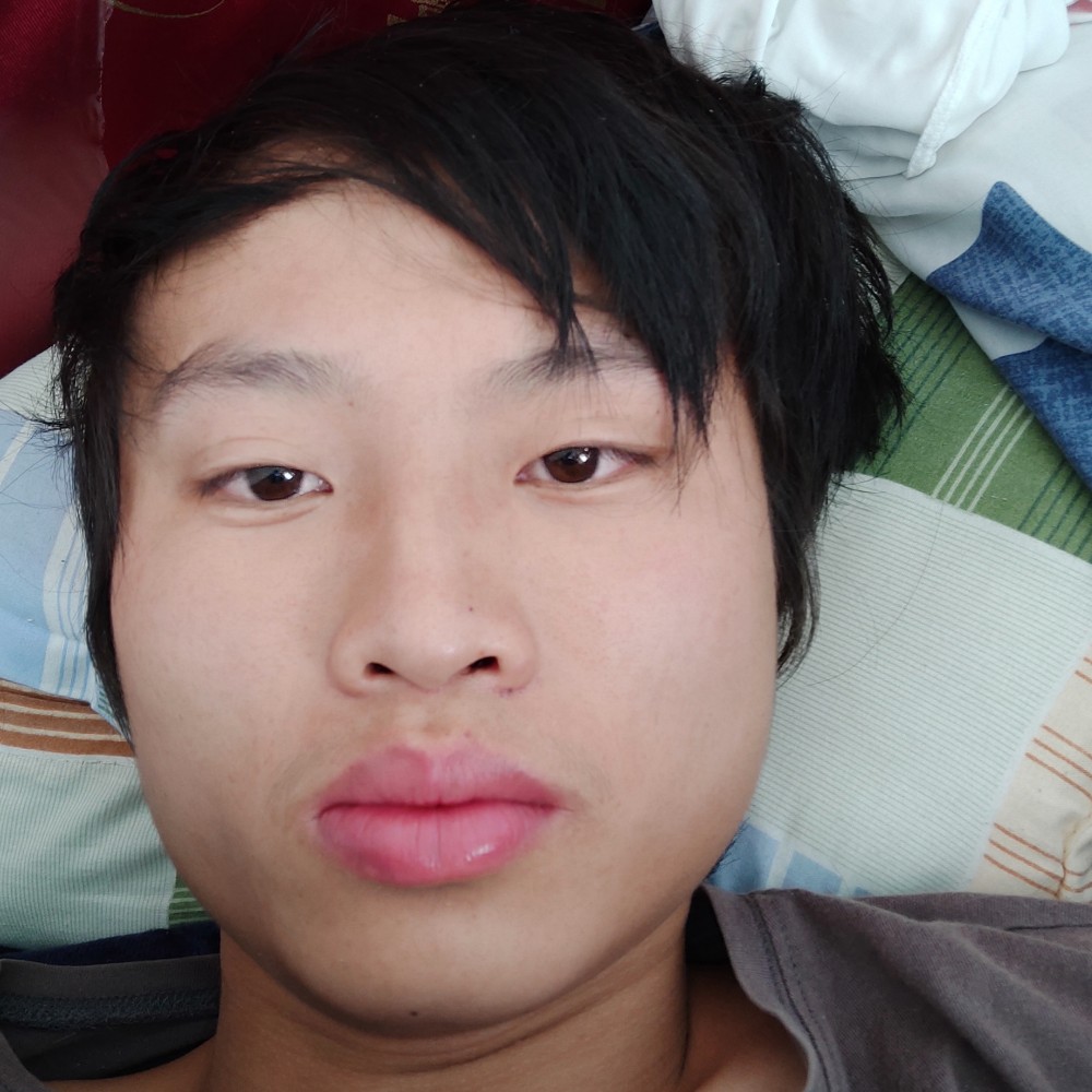 灵巧大雁的照片